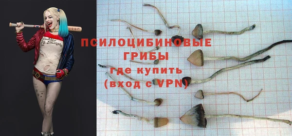 кристаллы Краснослободск
